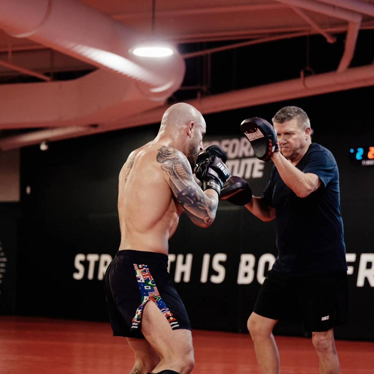 MORGAN Micro Gel Injected Speed Pads MUAY THAI MMA Boxing Training