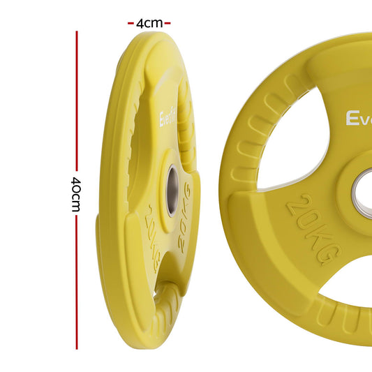 Everfit Weight Plates Olympic 20kg Dumbbell Barbell Plate Weight Lifting Home Gym Yellow