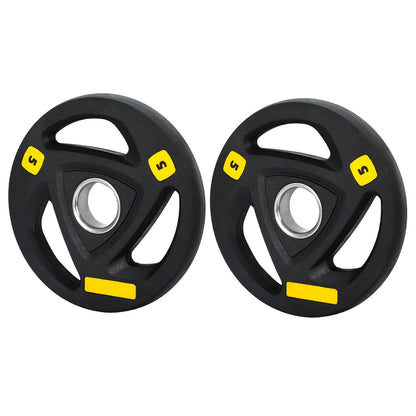 Everfit Weight Plates Olympic 5kgx2 Dumbbells Barbells Plate Weight Lifting Home