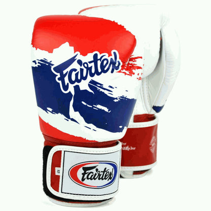 FAIRTEX Thai Pride Boxing Gloves (BGV1) - Boxing & Muay Thai