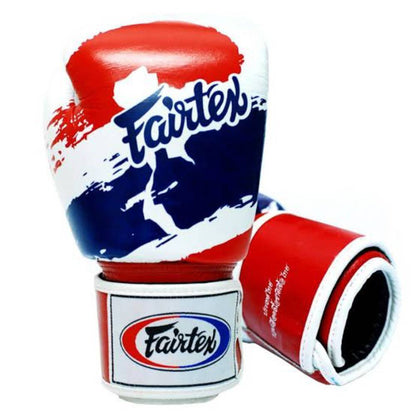 FAIRTEX Thai Pride Boxing Gloves (BGV1) - Boxing & Muay Thai