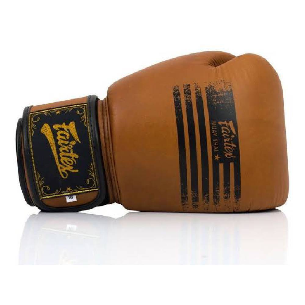 FAIRTEX Legacy Boxing Gloves (BGV21) - Boxing & Muay Thai