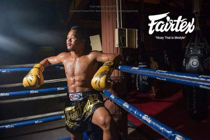 FAIRTEX Gold Falcon Limited Edition Boxing Gloves (BGV1) - Boxing & Muay Thai