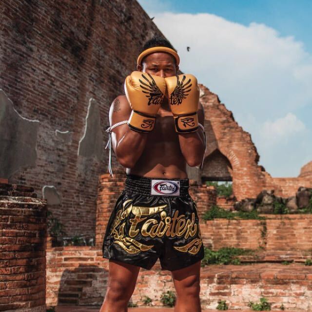 FAIRTEX Gold Falcon Limited Edition Boxing Gloves (BGV1) - Boxing & Muay Thai
