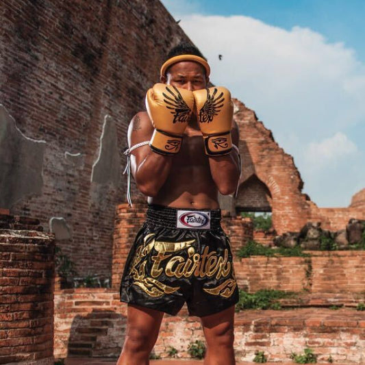 FAIRTEX Gold Falcon Limited Edition Boxing Gloves (BGV1) - Boxing & Muay Thai