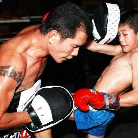 FAIRTEX - Aero Focus Mitts (FMV11)