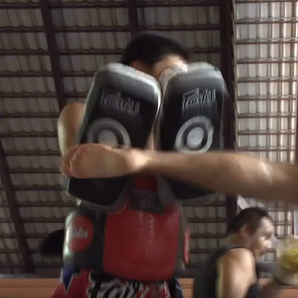 FAIRTEX - Small Curved Thai Pads (KPLC1)