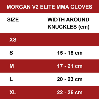 MORGAN V2 Platinum Leather MMA UFC Fight Gloves - MMA Training Gear