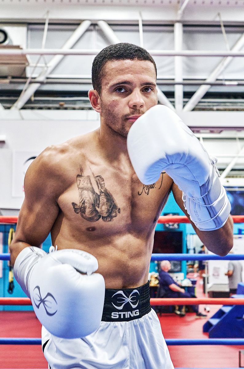 STING Viper X Boxing Gloves Lace Up — White/Silver