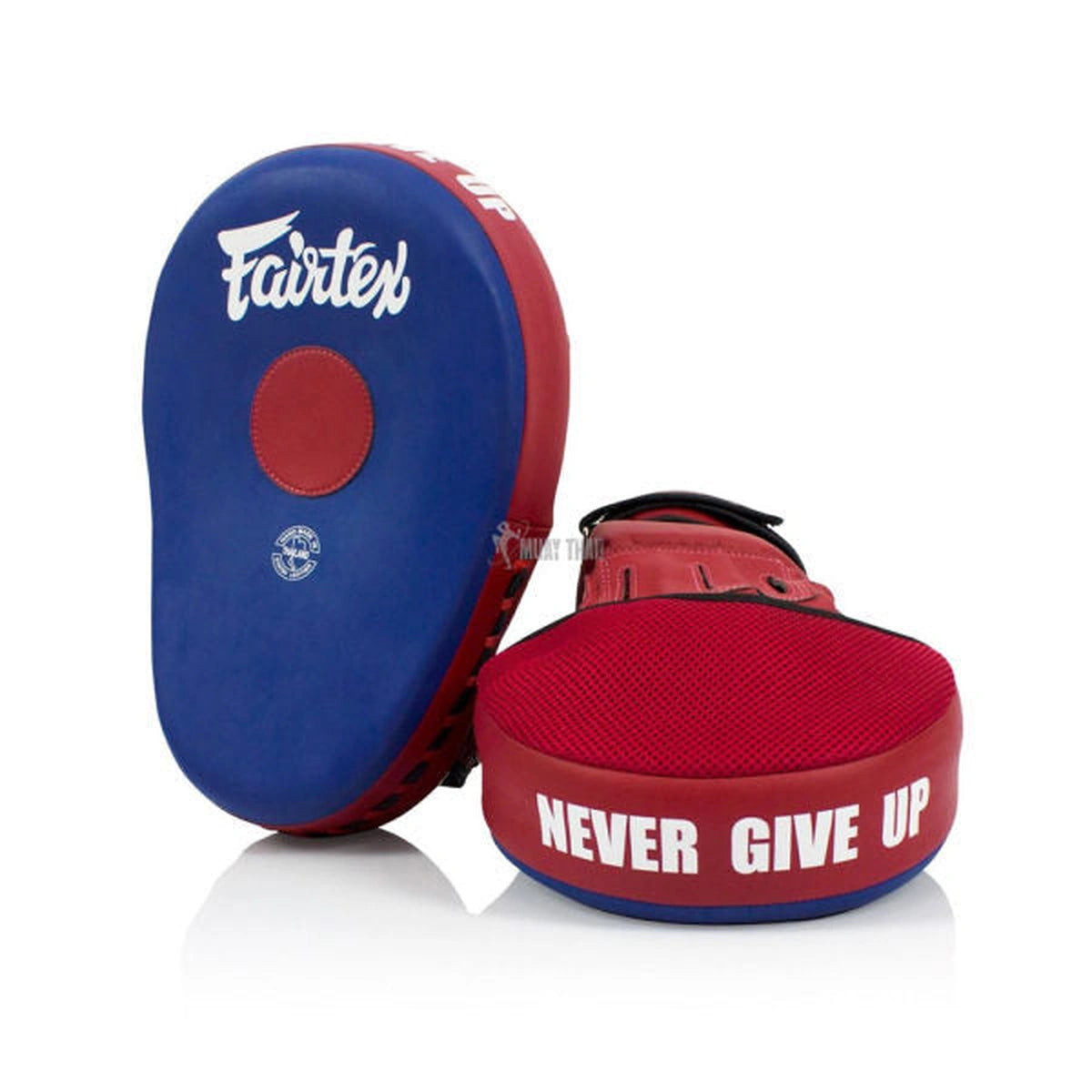 Fairtex Maximised Focus Mitts