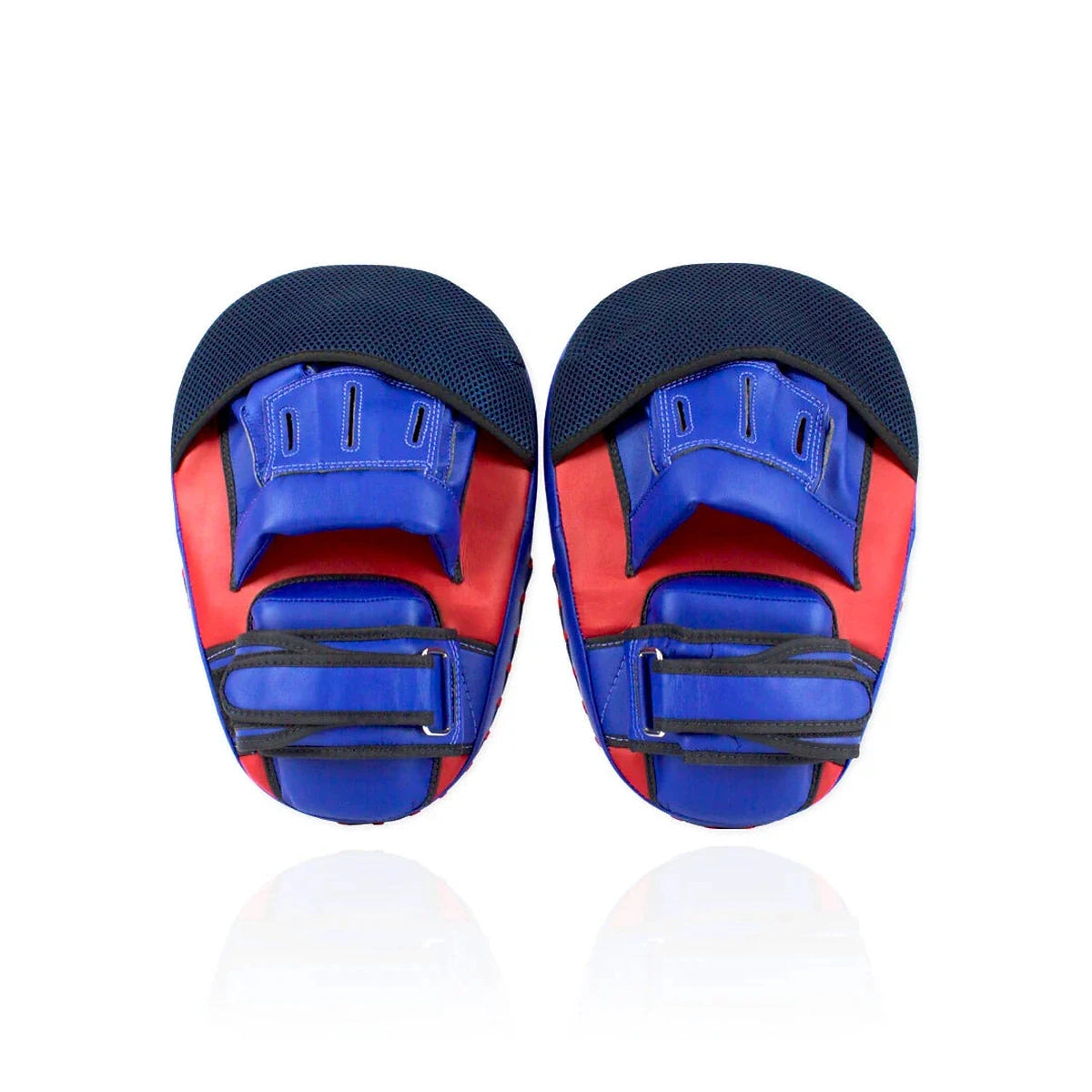 Fairtex Maximised Focus Mitts