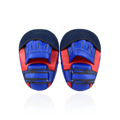 Fairtex Maximised Focus Mitts