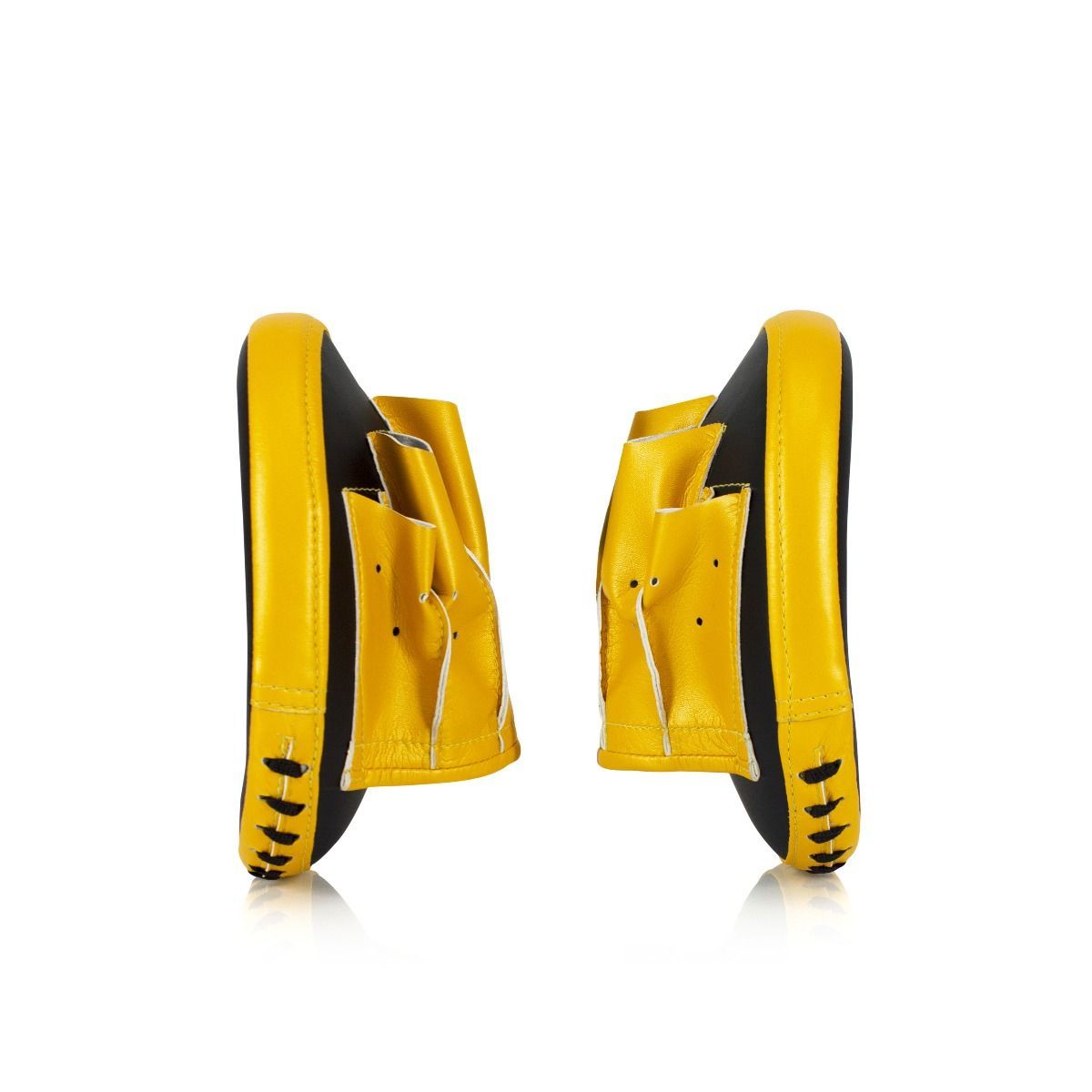 Fairtex FMV15 Micro Focus Mitts